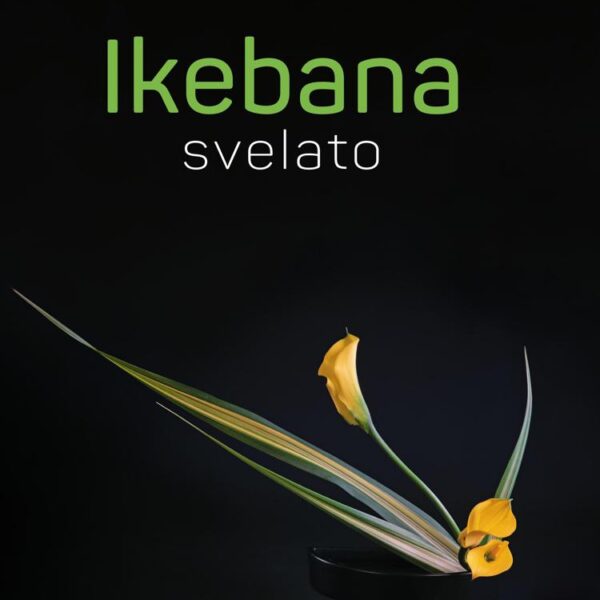 “Ikebana svelato” la via dei fiori che nutre lo spirito